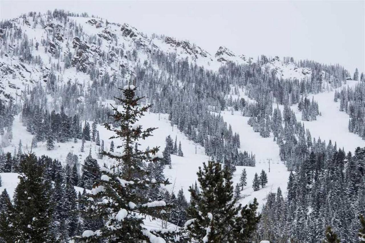 Вилла Jhrl - Nez Perce C4, 1 Mile From Grand Teton Np Титон-Вилидж Экстерьер фото